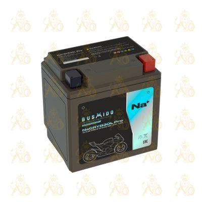 BUSHIDO NaCRYB30L Pro (YB30L-BS, 22,5Ah) обр