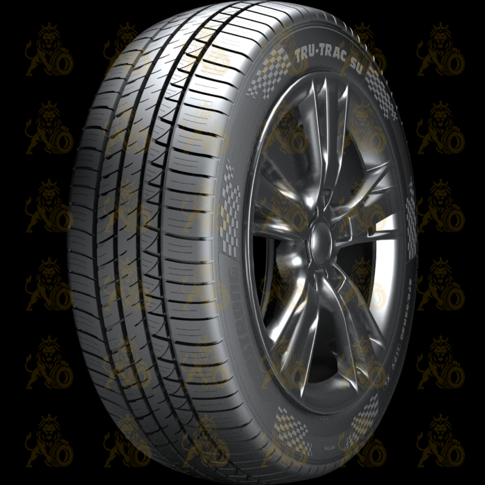 Armstrong Tru-Trac SU 255/50 R19 107W