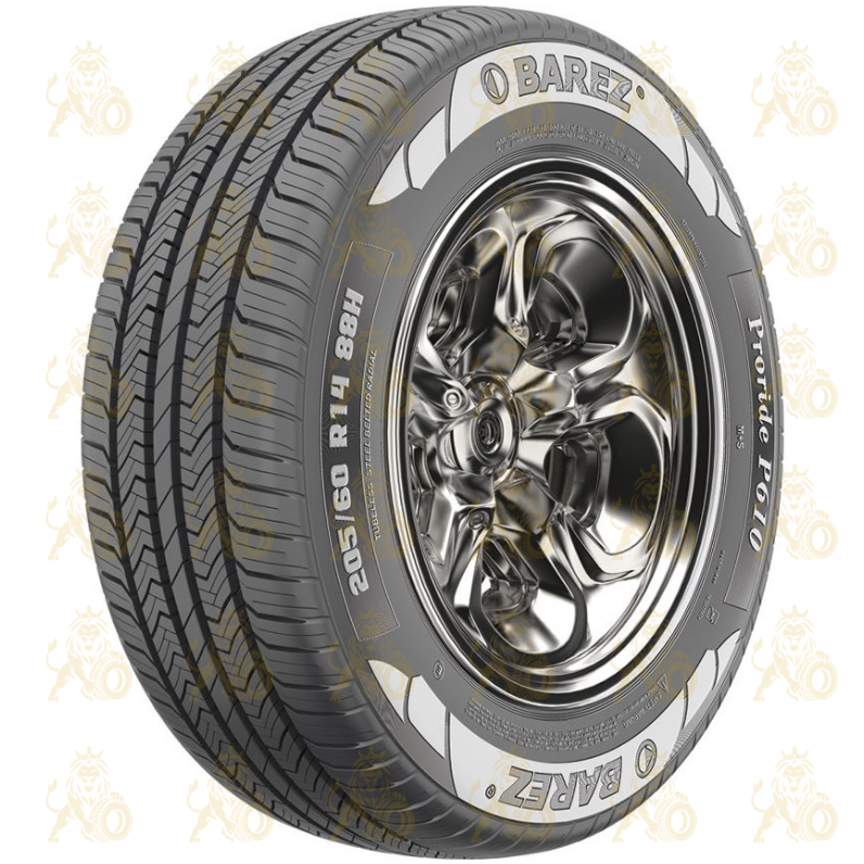 Barez Proride P610 205/55 R16 91V