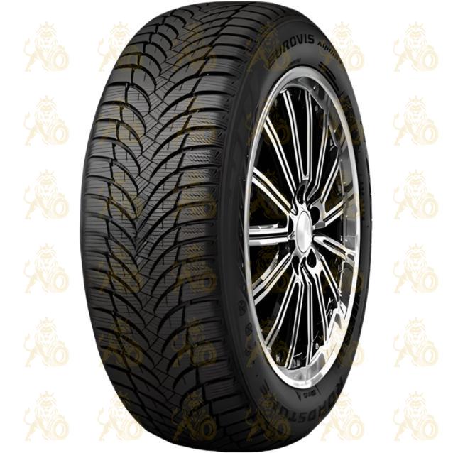 Roadstone Eurovis Alpine 2 205/55 R16 94V XL